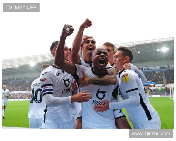 斯旺西足球俱乐部的辉煌历程与未来展望探讨