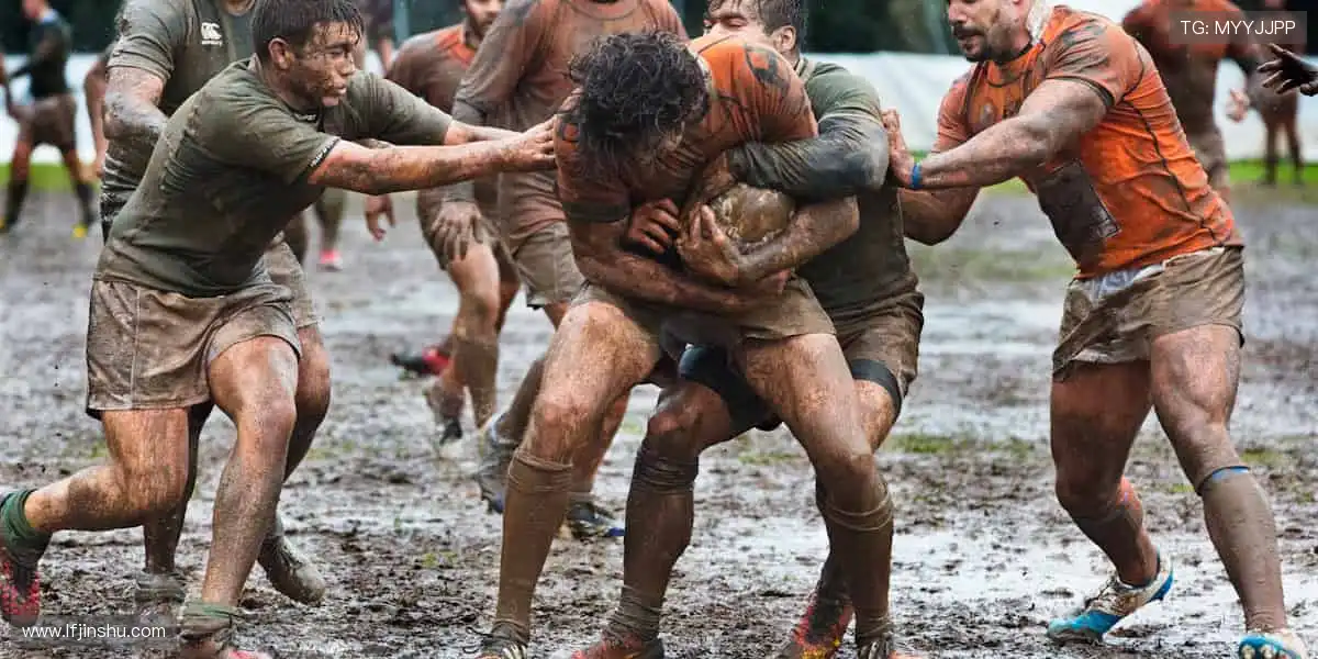 🎯 球星同款，即刻拥有！体育周边商城，解锁你的专属热爱！